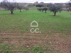 Terreno R�stico T0 - Amareleja, Moura, Beja - Miniatura: 6/9