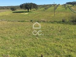 Terreno R�stico T0 - Amareleja, Moura, Beja - Miniatura: 7/9