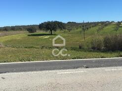Terreno R�stico T0 - Amareleja, Moura, Beja - Miniatura: 9/9