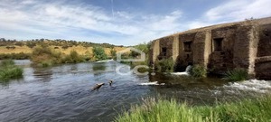 Quinta T5 - Serpa, Serpa, Beja