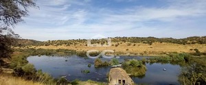 Quinta T5 - Serpa, Serpa, Beja - Miniatura: 4/84