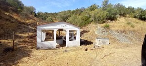 Quinta T5 - Serpa, Serpa, Beja - Miniatura: 14/84