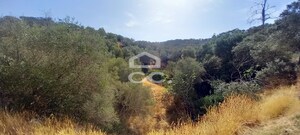 Quinta T5 - Serpa, Serpa, Beja - Miniatura: 23/84