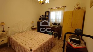 Quinta T5 - Vila Verde de Ficalho, Serpa, Beja - Miniatura: 22/56