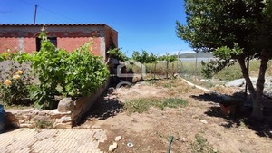 Quinta T5 - Vila Verde de Ficalho, Serpa, Beja - Miniatura: 47/56