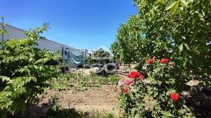 Quinta T5 - Vila Verde de Ficalho, Serpa, Beja - Miniatura: 50/56