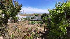 Quinta T5 - Vila Verde de Ficalho, Serpa, Beja - Miniatura: 53/56