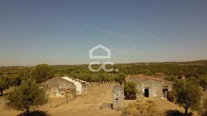 Terreno R�stico T0 - Vila de Frades, Vidigueira, Beja - Miniatura: 5/35
