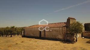 Terreno R�stico T0 - Vila de Frades, Vidigueira, Beja - Miniatura: 9/35