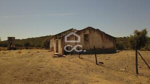 Terreno R�stico T0 - Vila de Frades, Vidigueira, Beja - Miniatura: 14/35