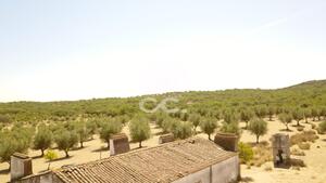 Terreno R�stico T0 - Vila de Frades, Vidigueira, Beja - Miniatura: 18/35