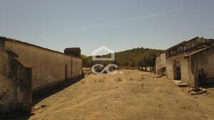 Terreno R�stico T0 - Vila de Frades, Vidigueira, Beja - Miniatura: 21/35