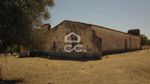 Terreno R�stico T0 - Vila de Frades, Vidigueira, Beja - Miniatura: 25/35