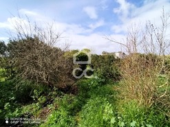 Terreno R�stico T0 - Entradas, Castro Verde, Beja - Miniatura: 2/14