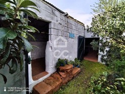 Terreno R�stico T0 - Entradas, Castro Verde, Beja - Miniatura: 3/14