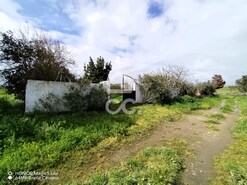 Terreno R�stico T0 - Entradas, Castro Verde, Beja - Miniatura: 13/14
