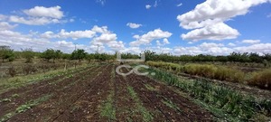 Quinta T3 - Beja, Beja, Beja - Miniatura: 3/27
