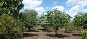 Quinta T3 - Beja, Beja, Beja - Miniatura: 5/27
