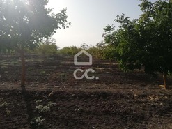 Quinta T3 - Beja, Beja, Beja - Miniatura: 24/27