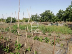 Quinta T3 - Beja, Beja, Beja - Miniatura: 25/27
