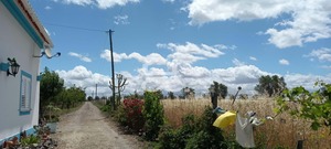 Quinta T3 - Beja, Beja, Beja - Miniatura: 26/27
