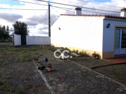 Quinta T2 - Beringel, Beja, Beja - Miniatura: 13/46