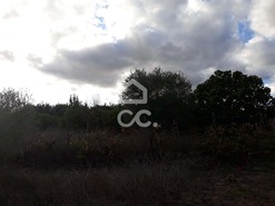 Quinta T2 - Beringel, Beja, Beja - Miniatura: 20/46