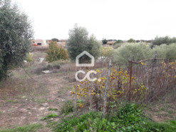 Quinta T2 - Beringel, Beja, Beja - Miniatura: 23/46