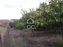 Quinta T2 - Beringel, Beja, Beja - Miniatura: 27/46