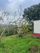 Terreno R�stico T0 - N�o Definido, N�o Definido, N�o Definido