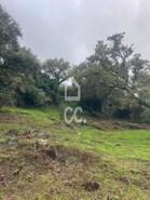 Terreno R�stico T0 - N�o Definido, N�o Definido, N�o Definido - Miniatura: 2/14