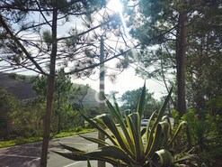 Apartamento T1 - Terrugem, Sintra, Lisboa - Miniatura: 3/14