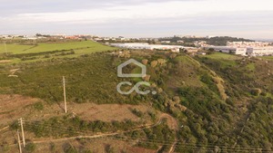 Terreno R�stico T0 - Tala�de, Cascais, Lisboa - Miniatura: 4/22