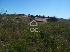 Terreno R�stico T0 - Tala�de, Cascais, Lisboa - Miniatura: 6/22