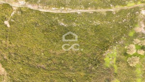 Terreno R�stico T0 - Tala�de, Cascais, Lisboa - Miniatura: 9/22