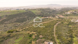 Terreno R�stico T0 - Tala�de, Cascais, Lisboa - Miniatura: 21/22
