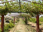 Quinta T2 - AMEIXIAL, Estremoz, vora - Miniatura: 1/9