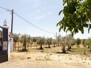 Quinta T2 - AMEIXIAL, Estremoz, vora - Miniatura: 9/9