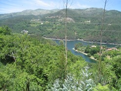 Terreno R�stico - Cani�ada, Vieira do Minho, Braga