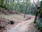 Terreno R�stico - Cani�ada, Vieira do Minho, Braga - Miniatura: 2/9