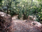 Terreno R�stico - Cani�ada, Vieira do Minho, Braga - Miniatura: 3/9