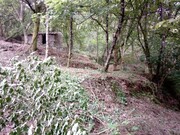 Terreno R�stico - Cani�ada, Vieira do Minho, Braga - Miniatura: 4/9