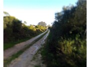 Terreno R�stico - Abitureiras, Santar�m, Santar�m - Miniatura: 1/2