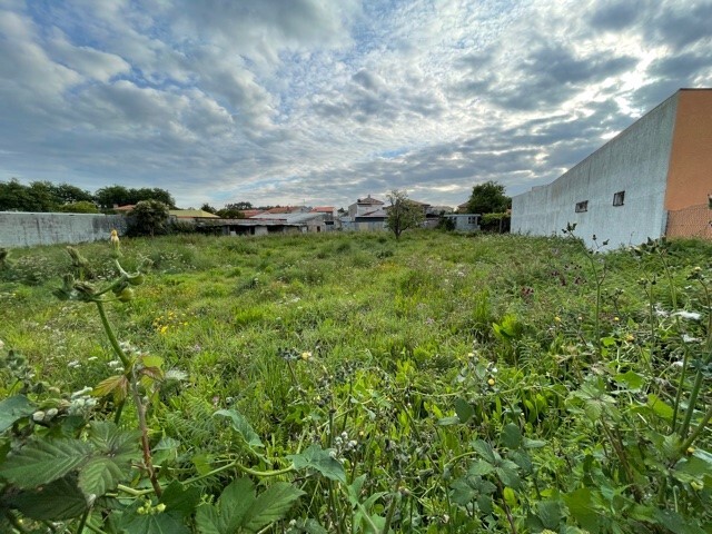Terreno R�stico - Gulpilhares, Vila Nova de Gaia, Porto - Imagem grande