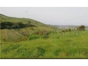 Terreno R�stico - Milharado, Mafra, Lisboa - Miniatura: 7/8
