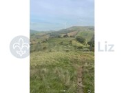 Terreno R�stico - Milharado, Mafra, Lisboa - Miniatura: 8/8