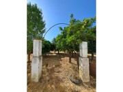 Prdio - Veiros, Estremoz, vora - Miniatura: 1/9