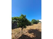 Prdio - Veiros, Estremoz, vora - Miniatura: 5/9