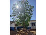 Prdio - Veiros, Estremoz, vora - Miniatura: 8/9