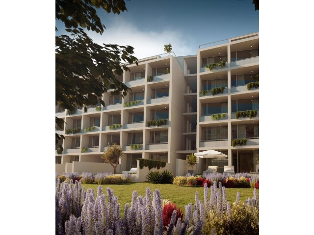 Apartamento T0 - Cedofeita, Porto, Porto - Imagem grande